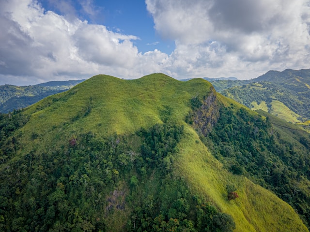 Información del CRIM